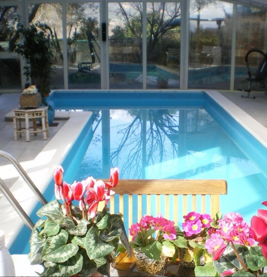 אולביה Villa Luce B&B מראה חיצוני תמונה